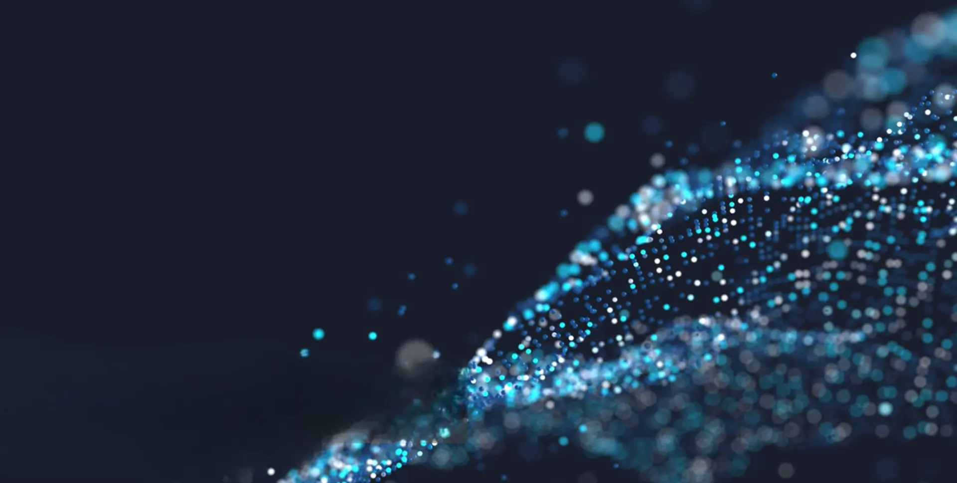 banner_homepage